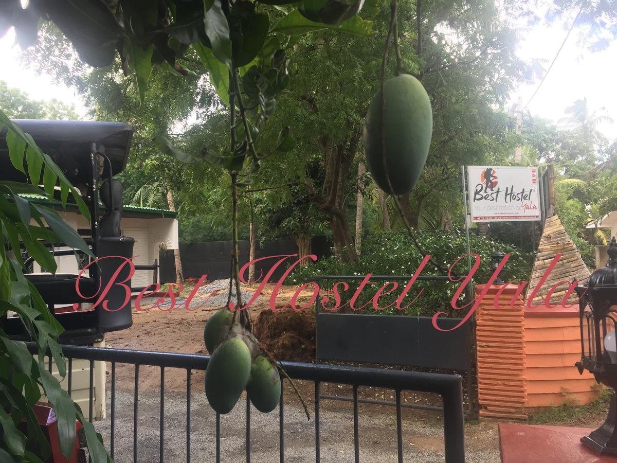 Best Hostel Yala Tissamaharama Dış mekan fotoğraf