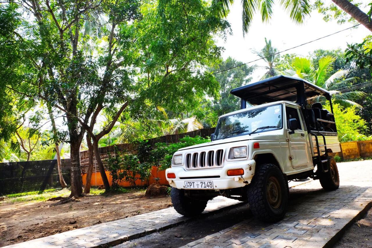 Best Hostel Yala Tissamaharama Oda fotoğraf